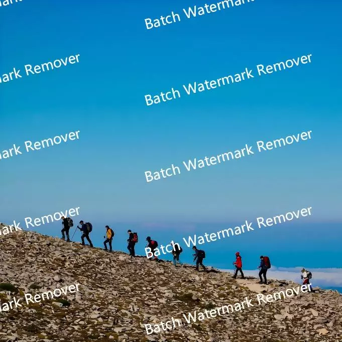 Batch Watermark Remover - Before