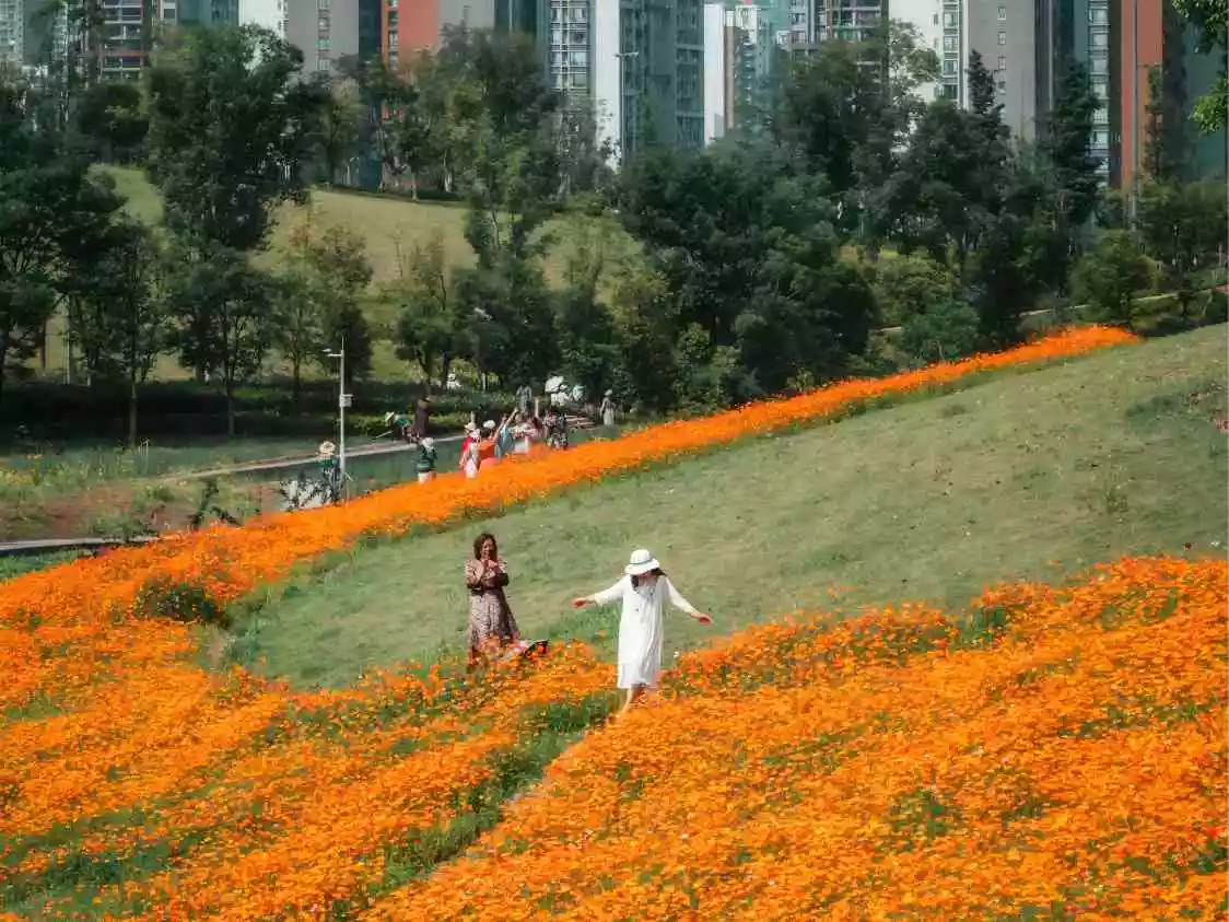 旅游和风景照片