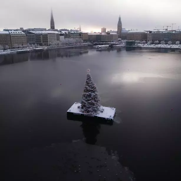 Contenido para redes sociales sin logos - After