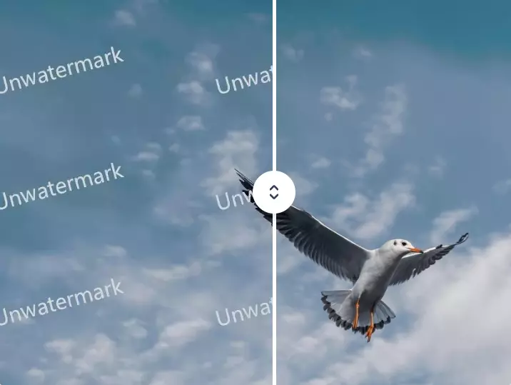 Quitar texto de imagen