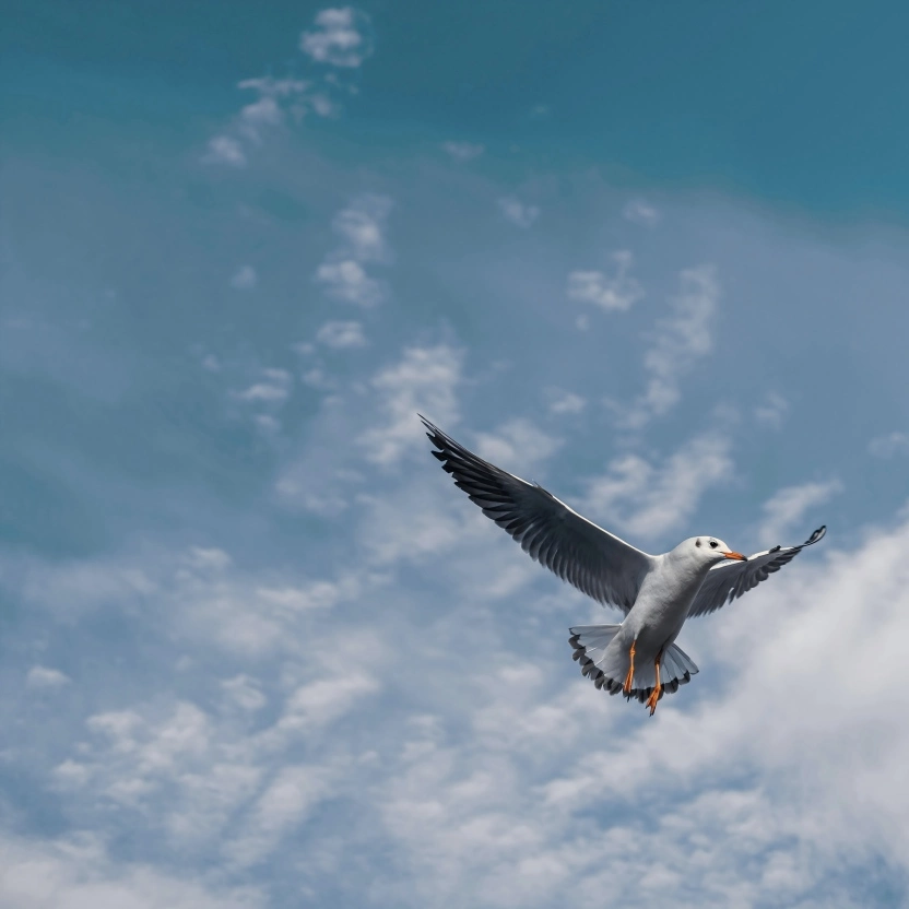 Remove Text from Image - After