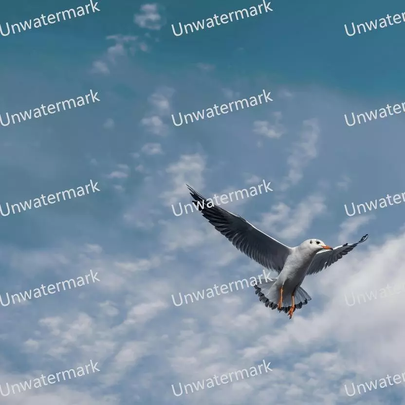 Remove Text from Image - Before